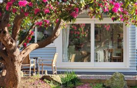 Secluded garden terrace beneath rhododendron and established trees at 1920s character home in Christchurch
